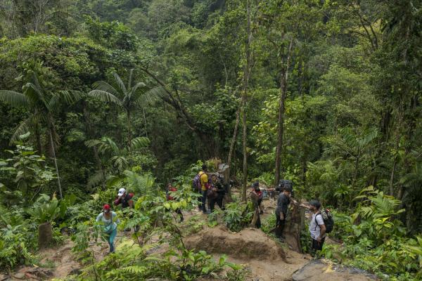 The journey trough Darien Gap - A group of people rest in the middle of the Darien jungle. These migrants walk for days to cross...