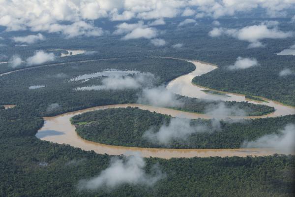 The violated territory, the isolation of the communities in Medio Atrato, Colombia - Aerial view of the Atrato river, in the Pacific region, Colombia, one of the most inaccessible...