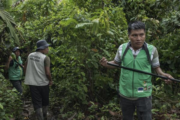 The violated territory, the isolation of the communities in Medio Atrato, Colombia - Luis and Walter patrol the surroundings of the Chan&uacute; community. Due to the presence of...