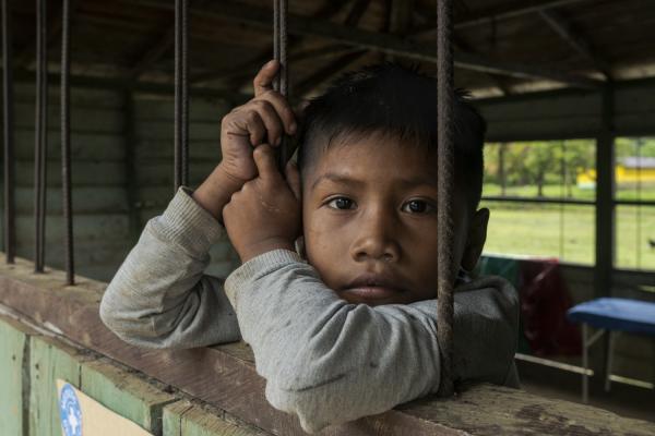 The violated territory, the isolation of the communities in Medio Atrato, Colombia - A small Embera Dobida indigenous boy looks behind the bars of his school, a small wooden...