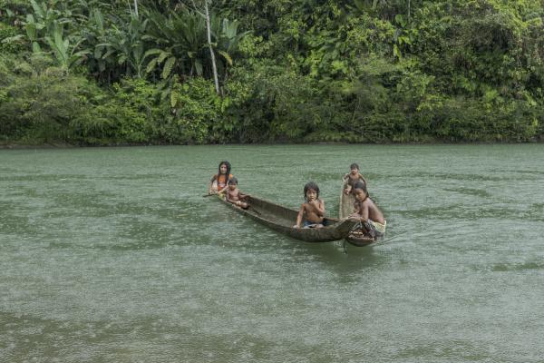 The violated territory, the isolation of the communities in Medio Atrato, Colombia - These children belong to the Embera indigenous people, the meaning of the name means...