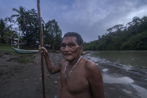 The violated territory, the isolation of the communities in Medio Atrato, Colombia - Omar is the Jaibana (shaman) of the Chan&uacute; community, his knowledge about plants and...