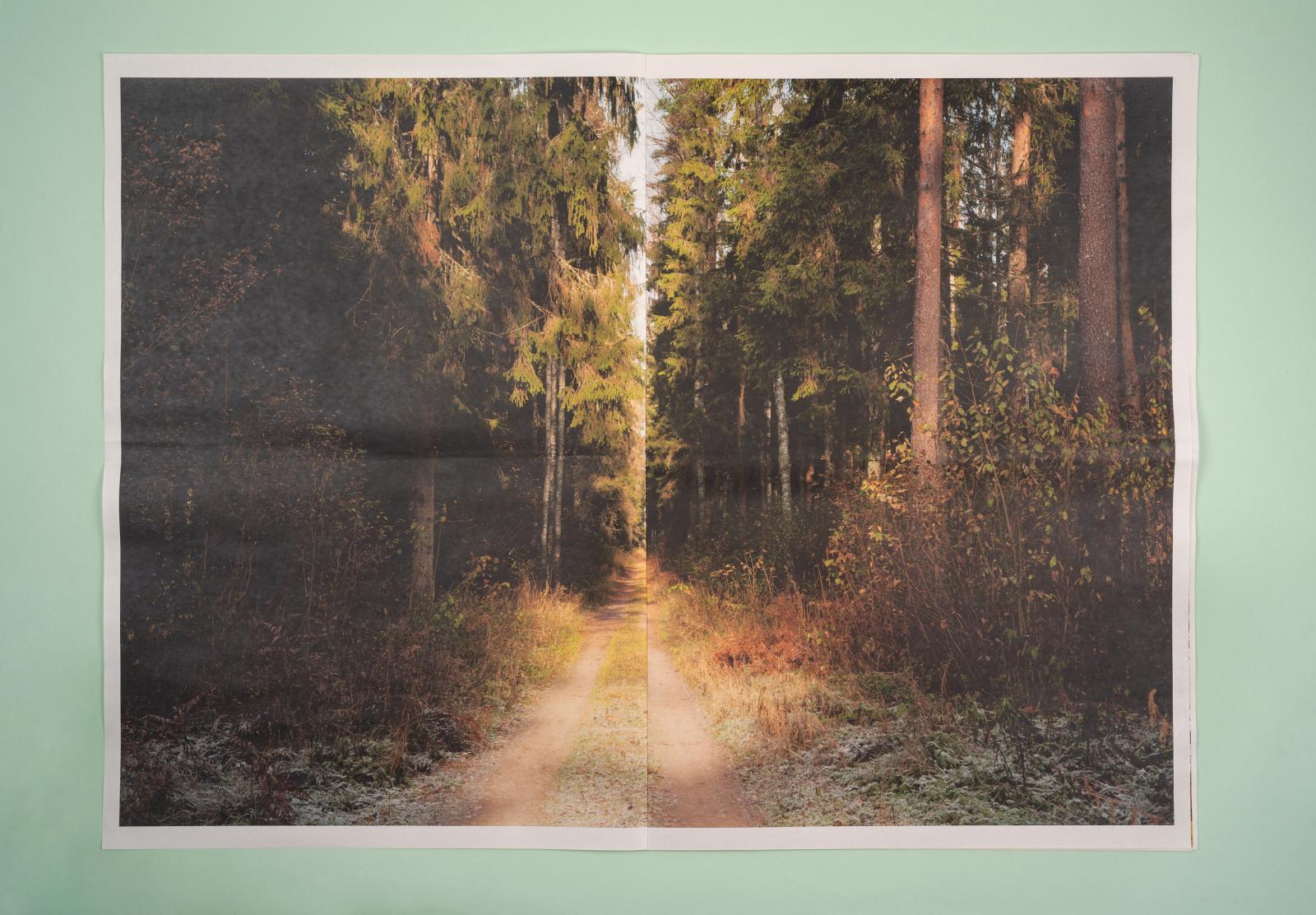 The Forests of Latvia