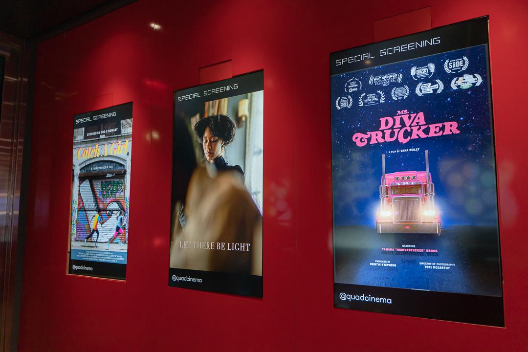 Film Screenings & Festivals