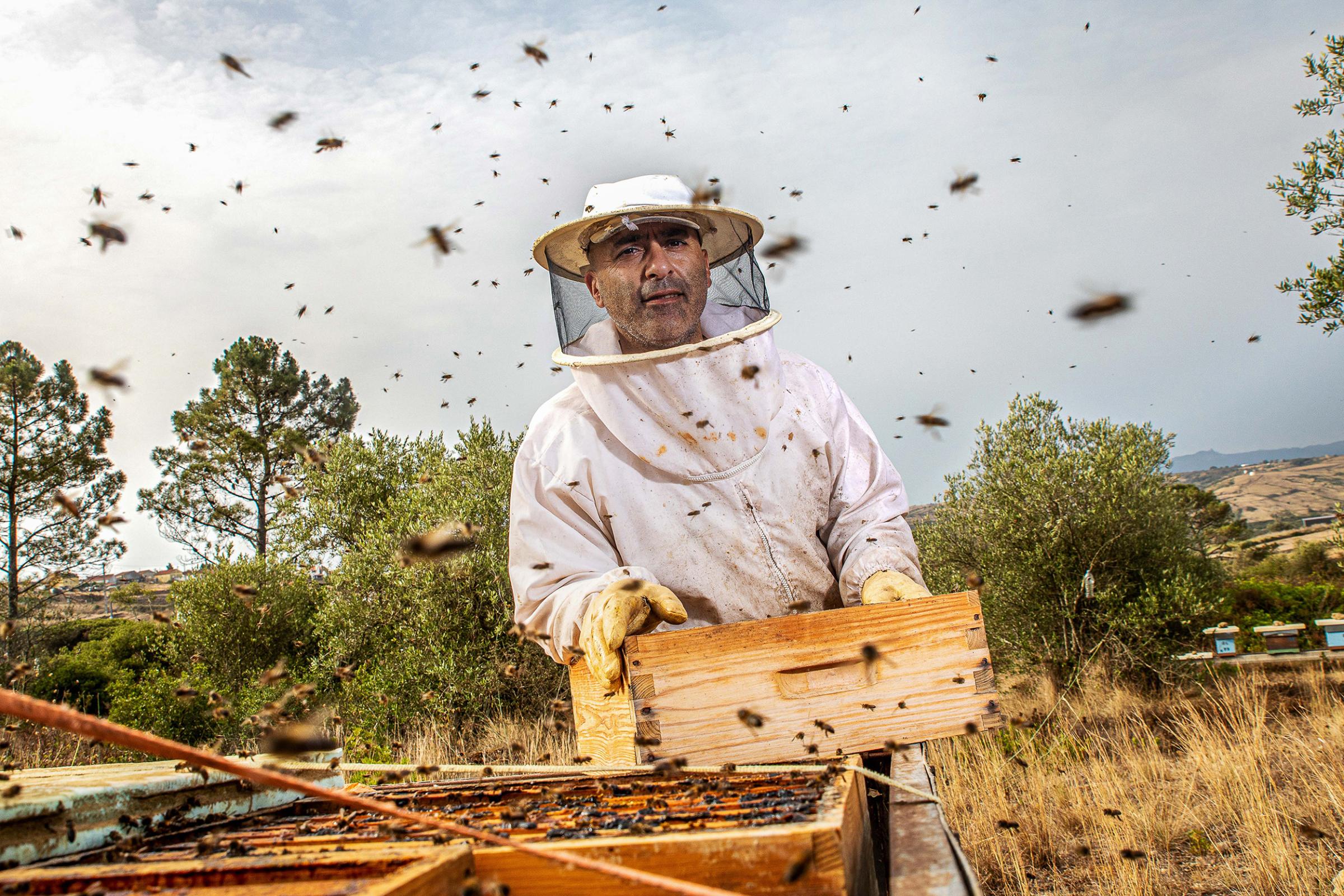 Leonardo, is a natural beekeeper from the Mafra region who runs a honey production company called Dlapmel in the West area.