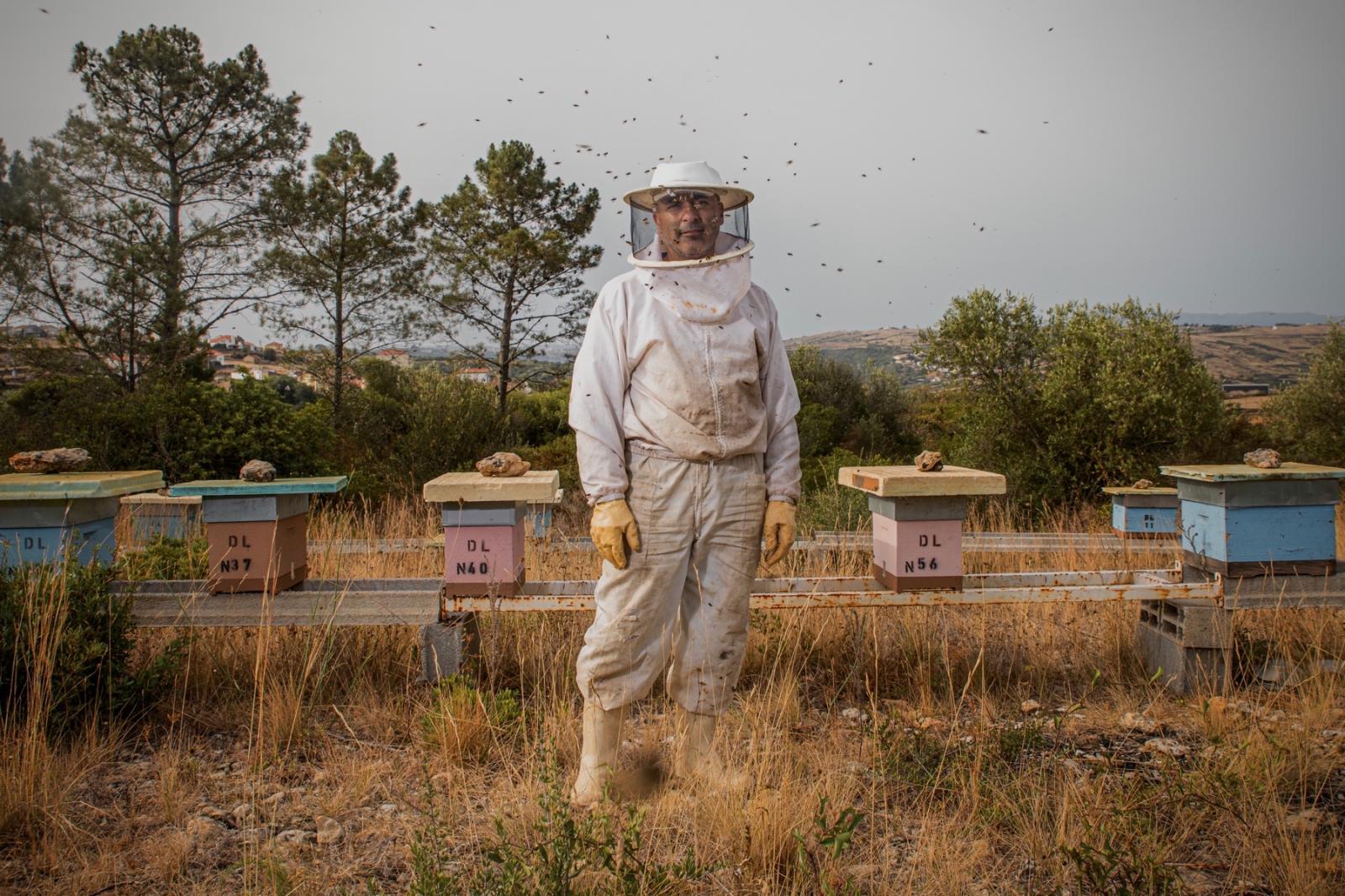 Leonardo, beekeeper from the west zone of Portugal.