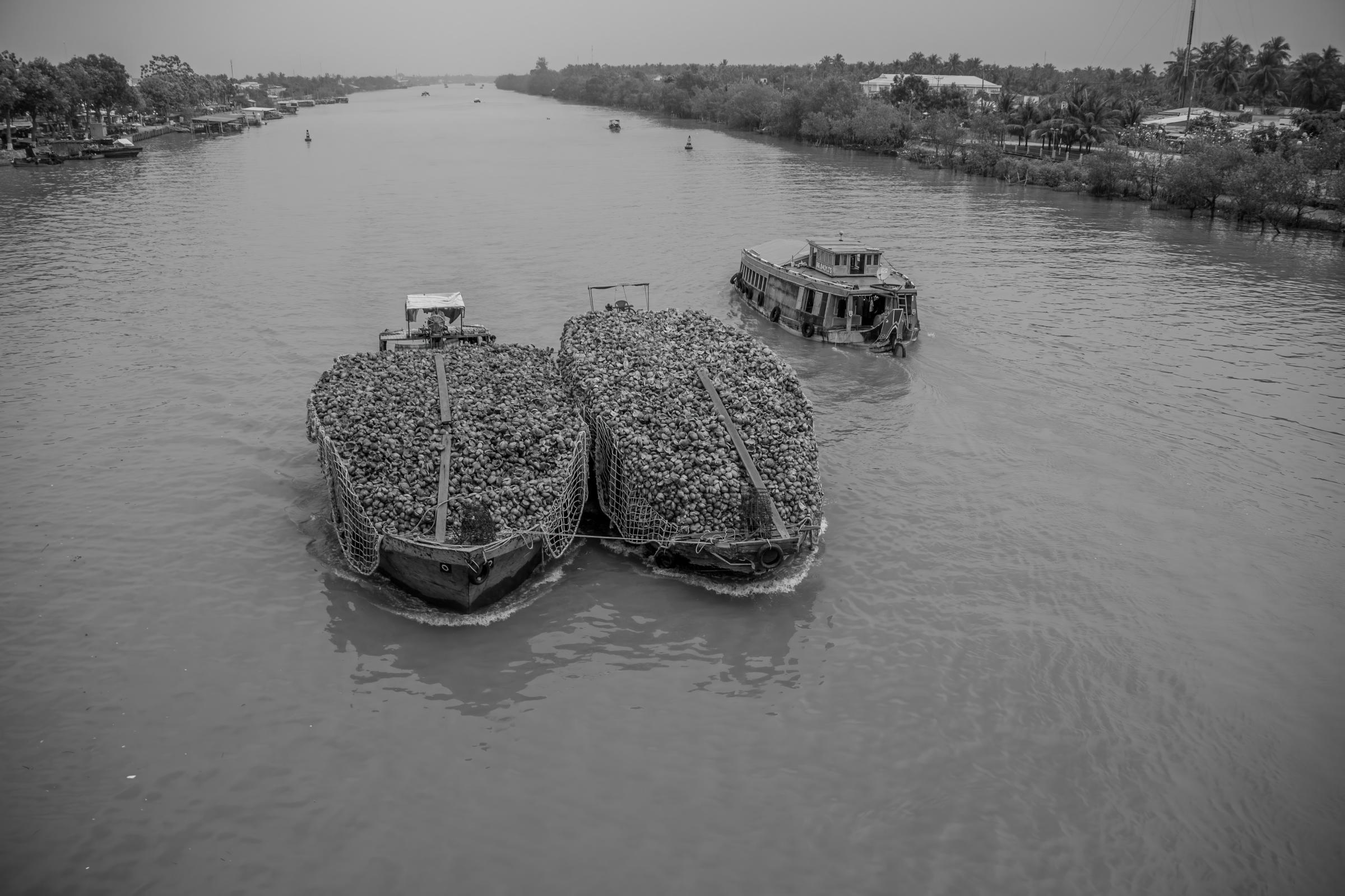 Mekong River- Ben tre -   