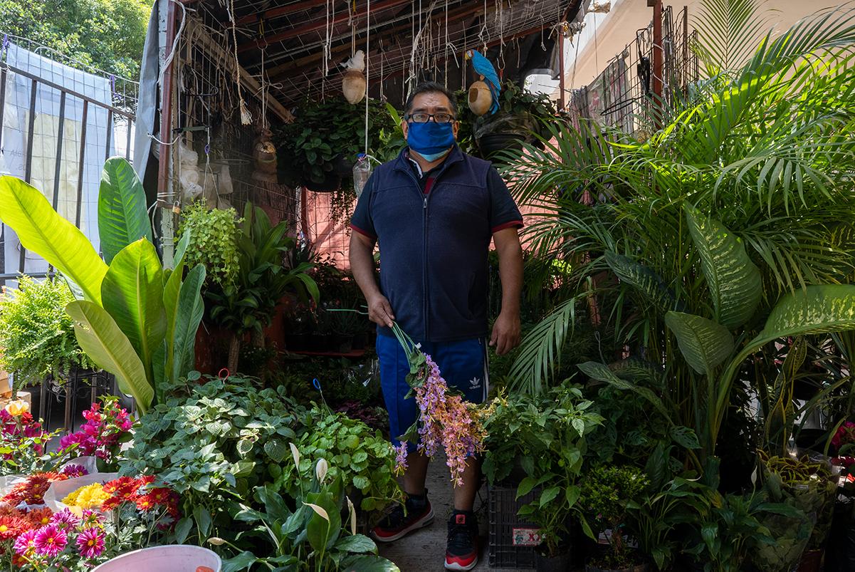 A pandemic diary from Mexico