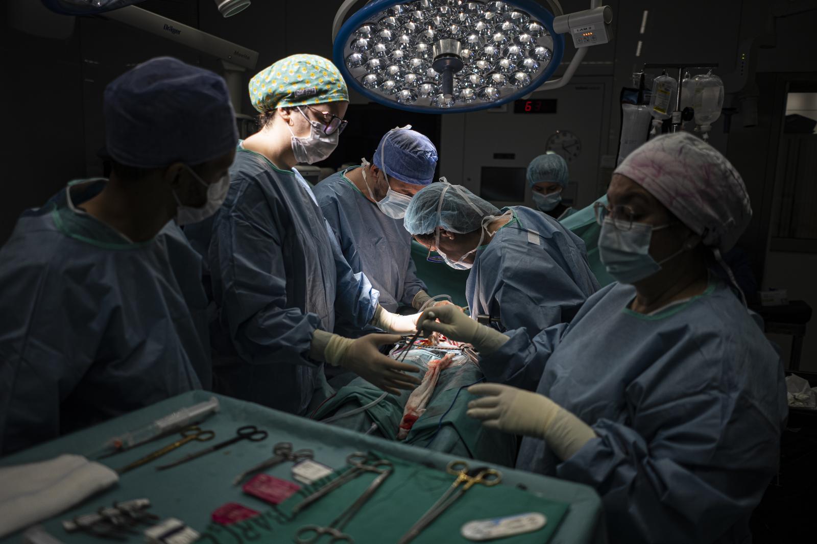 Image from DAILY NEWS - Healthcare professionals work on the double organ...