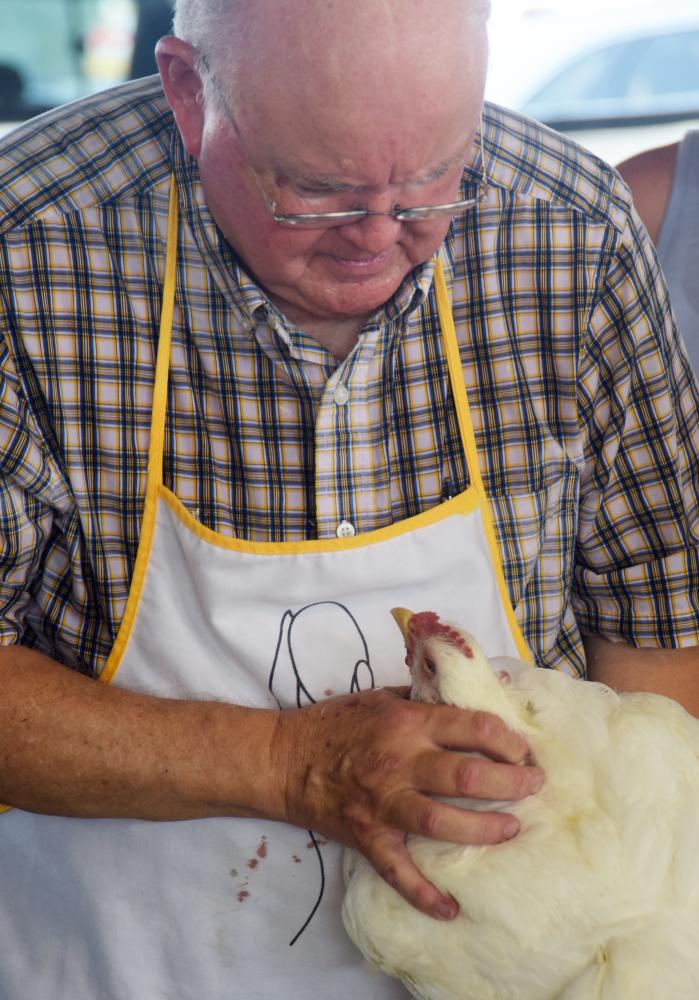 Tony Perryman judges a chicken Thursday, July 22, 2021 at the Boone County Fair Grounds in Columbia. Perryman is an animal health officer for the Missouri Department of Agriculture. 