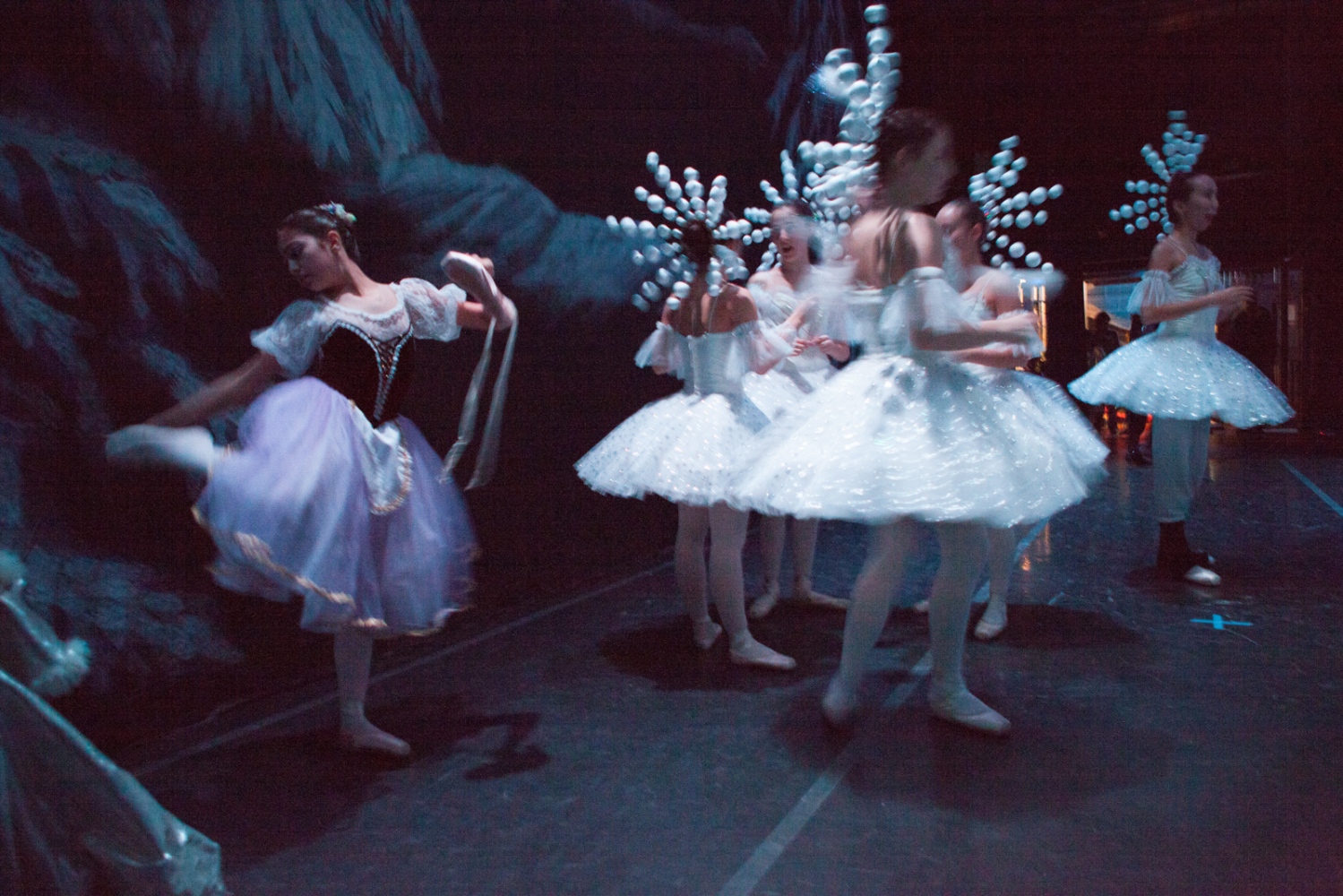 Ballet Prodigy -                   
                  