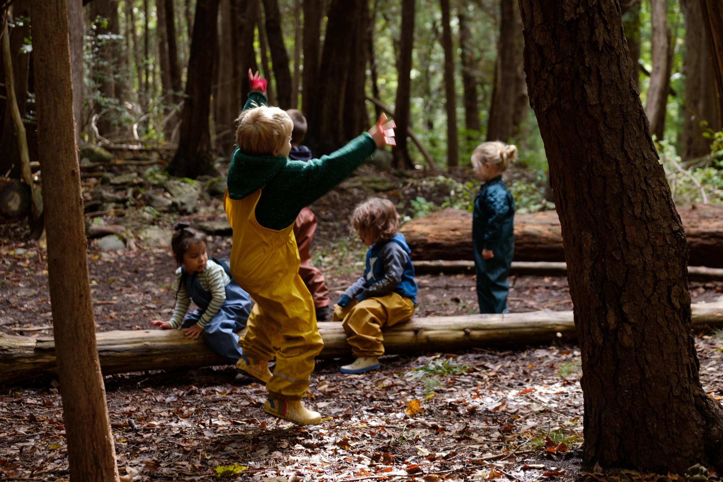 Free Play - Forest Folk is an all outdoor school that has programs...
