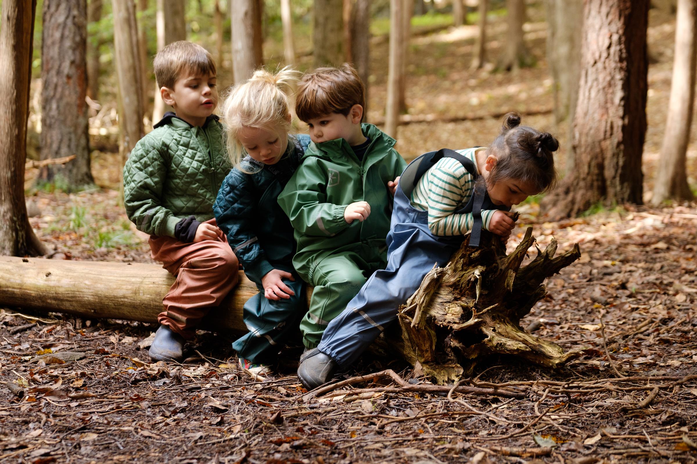 Free Play - Forest Folk is an all outdoor school that has programs...
