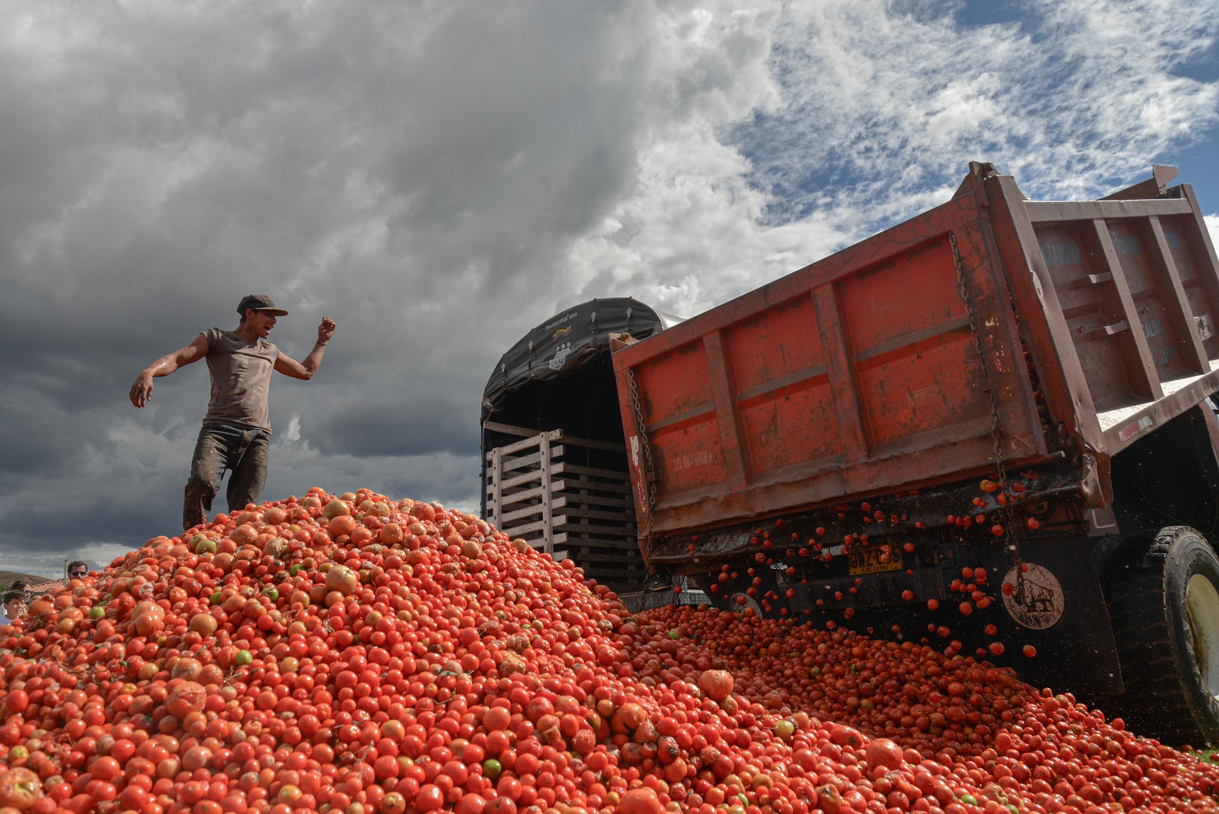 La Gran Tomatina Colombiana - 