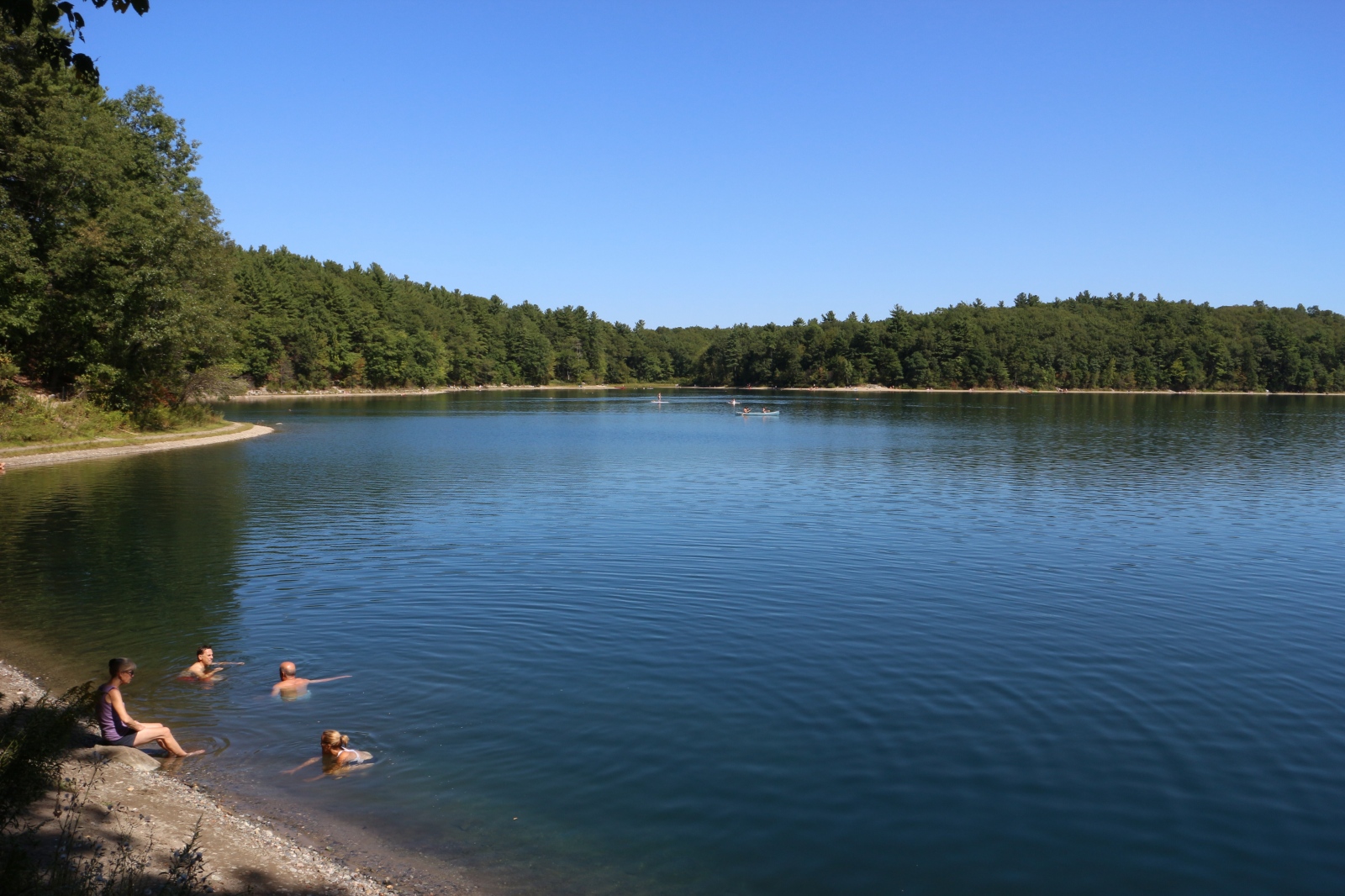 At the Water's Edge - Walden Pond, Concord, Massachusetts