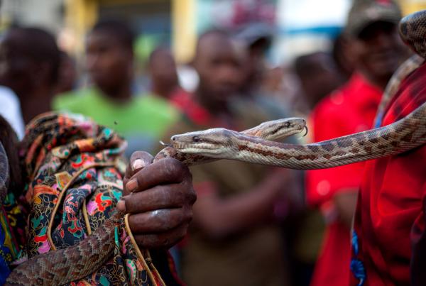 Haiti Snake Handler - Photography story by Dieu-Nalio Chery