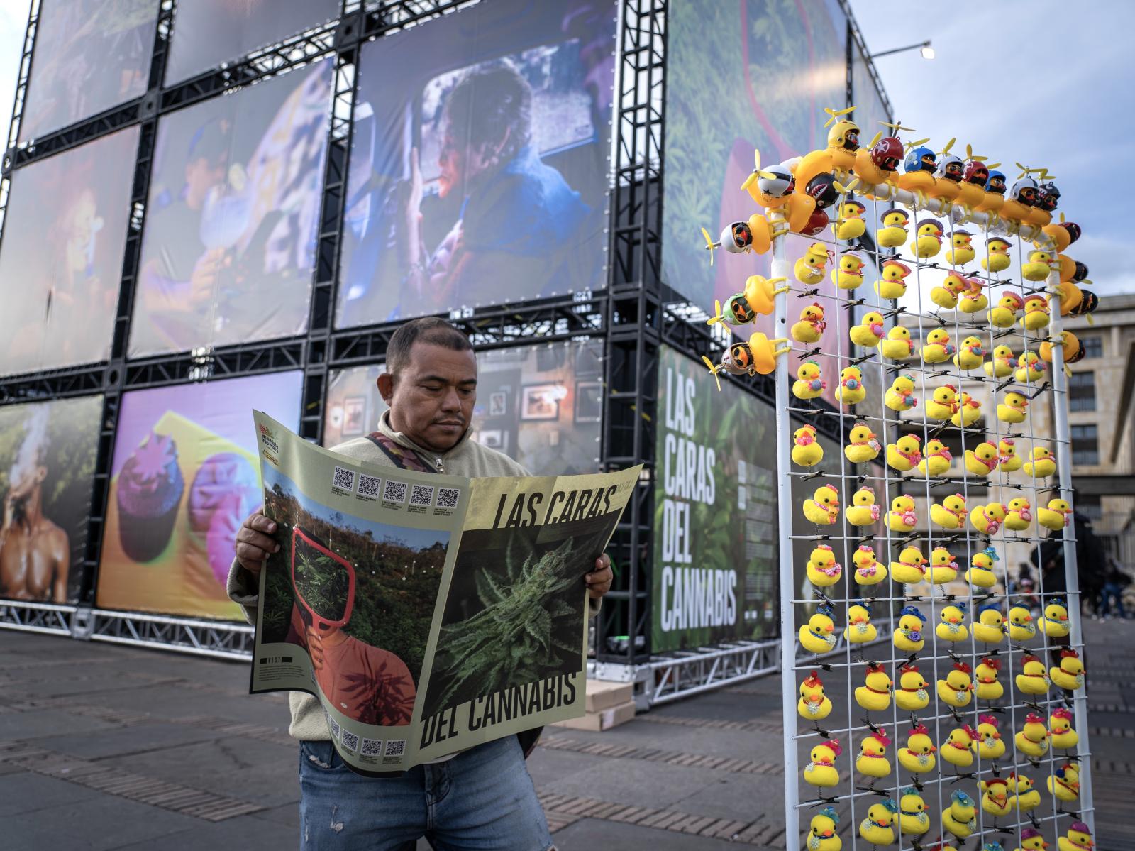 Exposición 'Las caras del cannabis', en Bogotá, Colombia