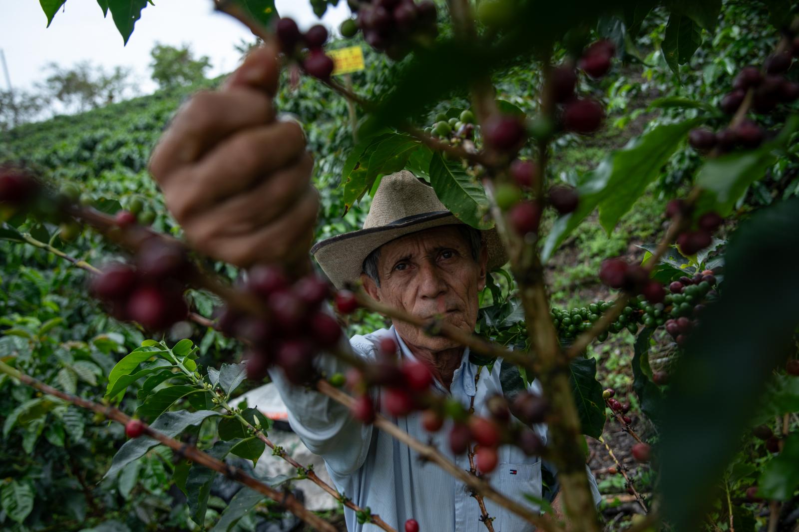 Jorge Garc&eacute;s, owner ...grapher: Jair F. Coll/Bloomberg