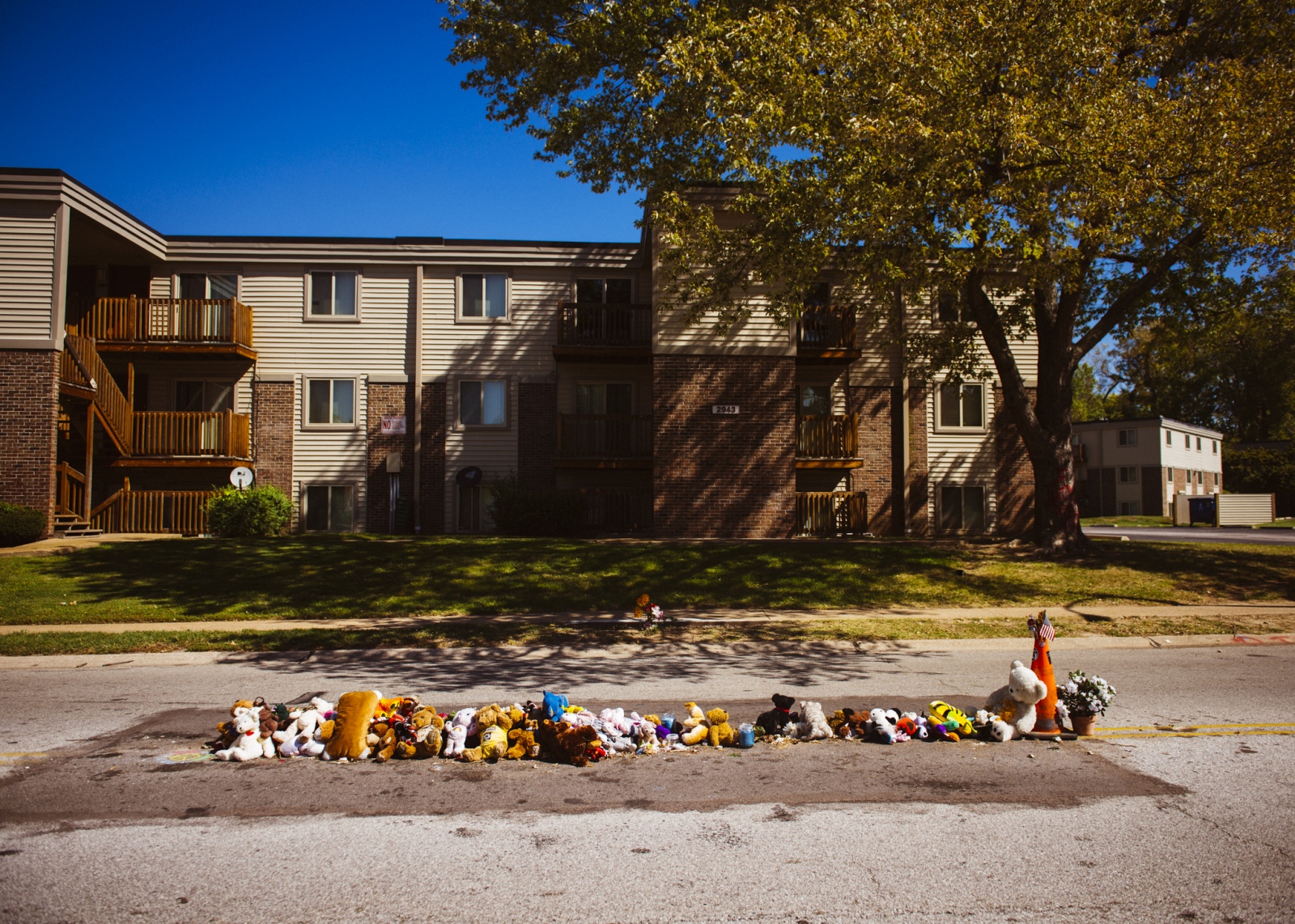 Fragments of Ferguson