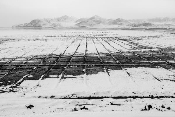 Image from Landscape - With the drying up of Lake Urmia, the hills and ridges...