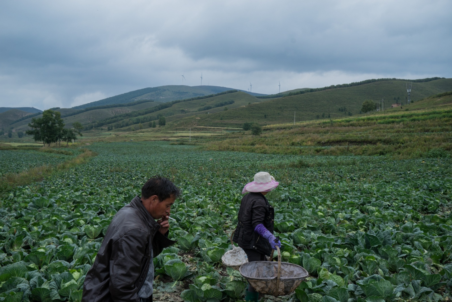 Yan Cong Chongli In Transition Ongoing - 