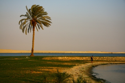 Bible Lands -  Port Said, Egypt. 