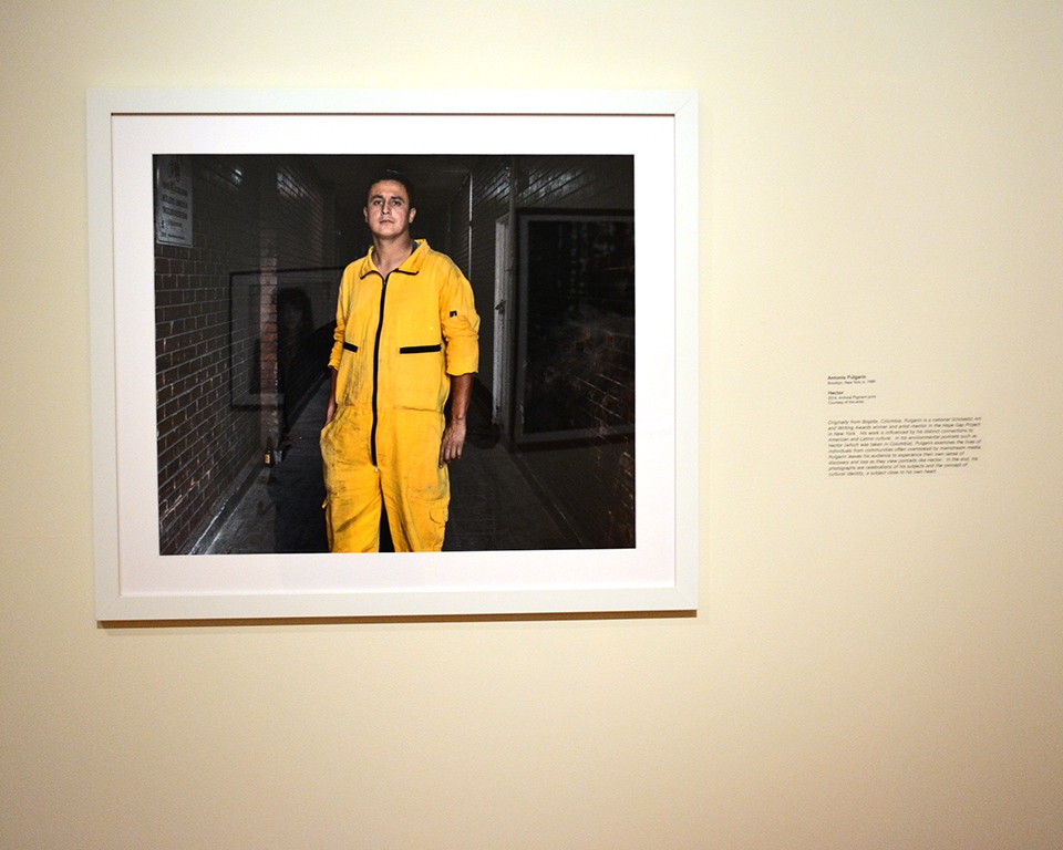  "Hector",Â The National: Best Contemporary Photography 2015 , Fort Wayne Museum of Art. 