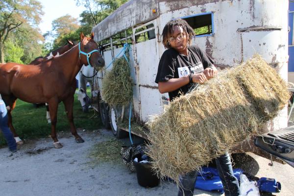 Chicago's Black Cowboys - The horses get fed and watered before participating in the 33rd Annual High Noon Ride.  