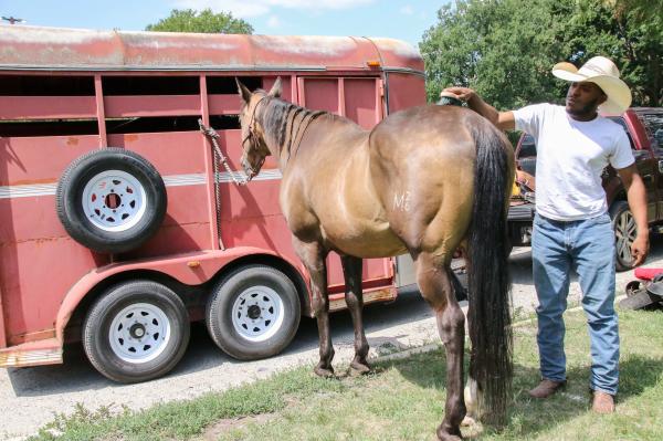 Chicago's Black Cowboys - Aaron grooms his horse Bo Butta before joining in on the group ride, five donors helped Aaron...