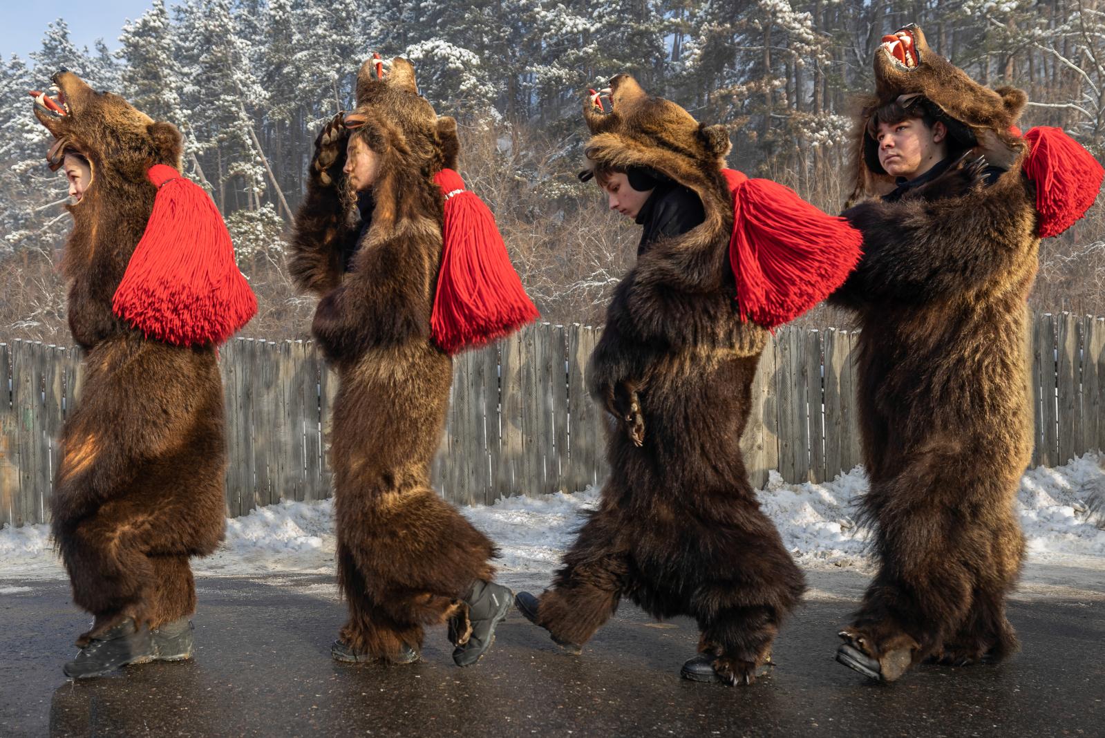 Youth dressed in bear hides go ...ter for the Dance of the Bears.