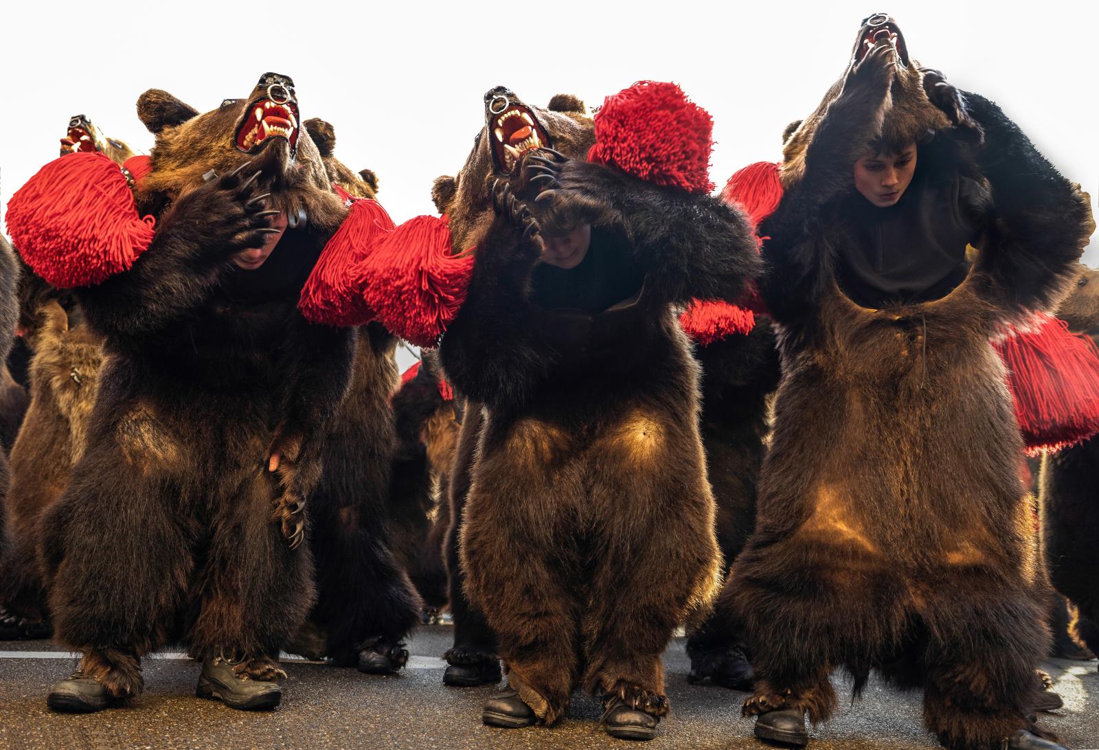 The Dance of the Bears. Youth dressed in bear hides dancing.