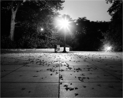 Harlem Nocturnal -    Fallen Leaves      (Grant's Park)      August 2002...