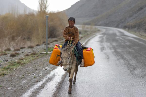 Contrasting Childhoods Joyful Play vs Hardship - Hussain Ali, an 8-year-old child, goes out with his donkey in heavy rain to search for drinking...