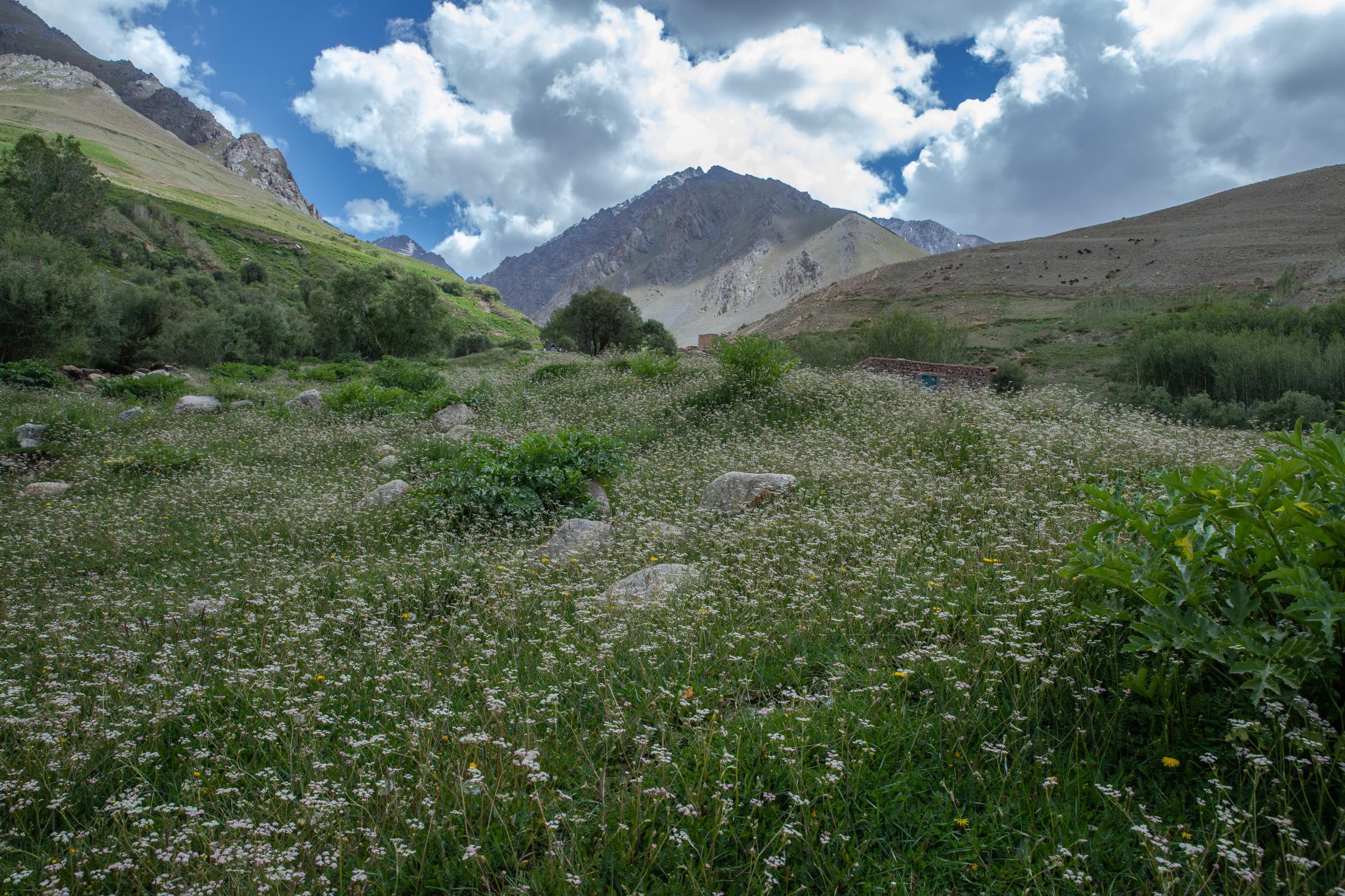 The Water Crisis and Its Consequences in Afghanistan   -   