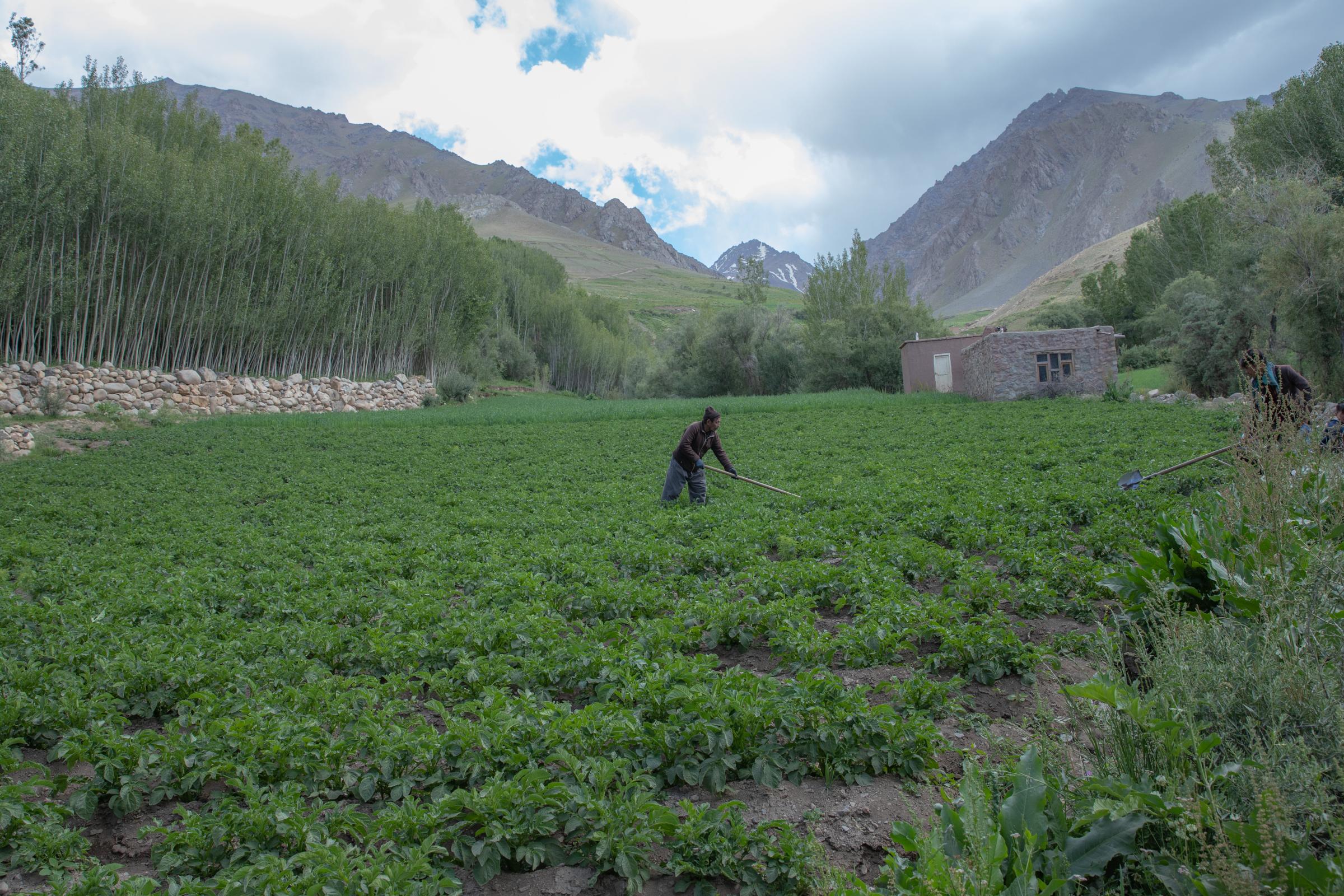 The Water Crisis and Its Consequences in Afghanistan   -   