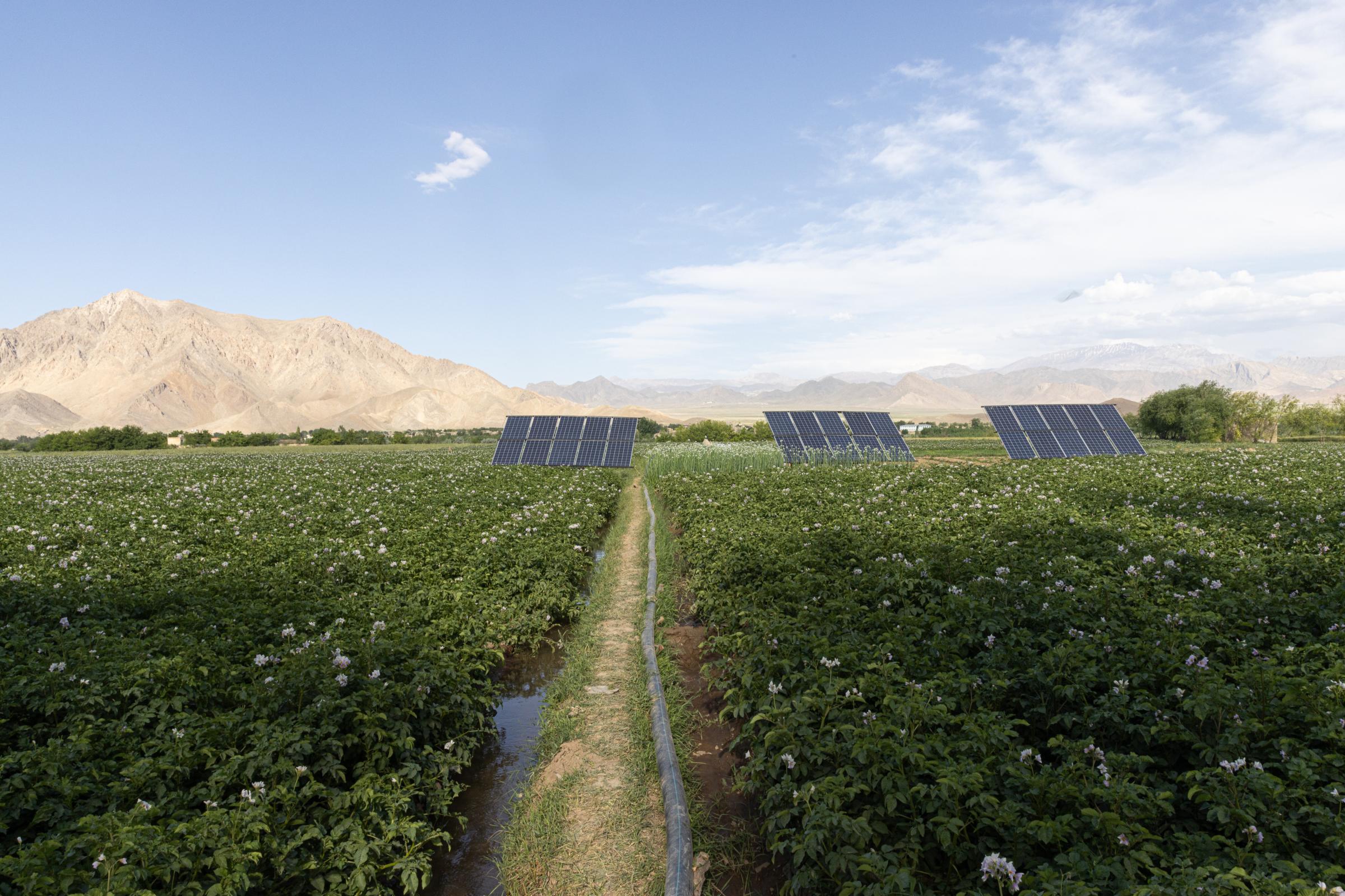 The Water Crisis and Its Consequences in Afghanistan   -   