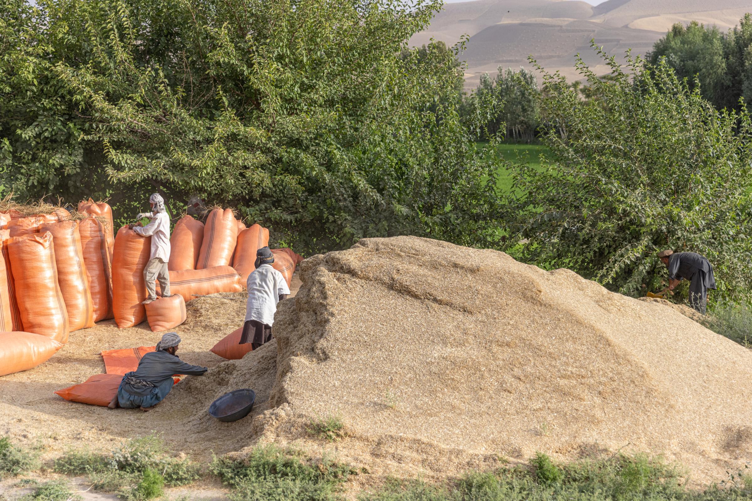 The Water Crisis and Its Consequences in Afghanistan   -   