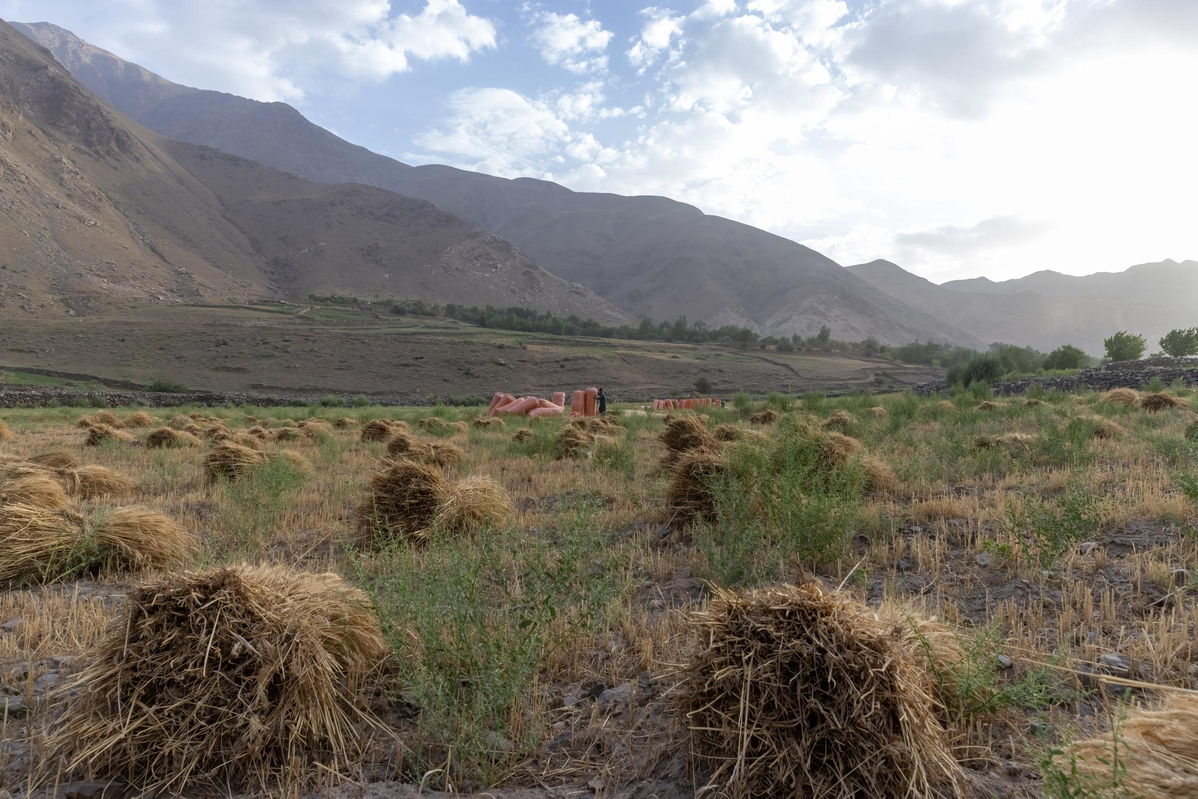 The Water Crisis and Its Consequences in Afghanistan   -   