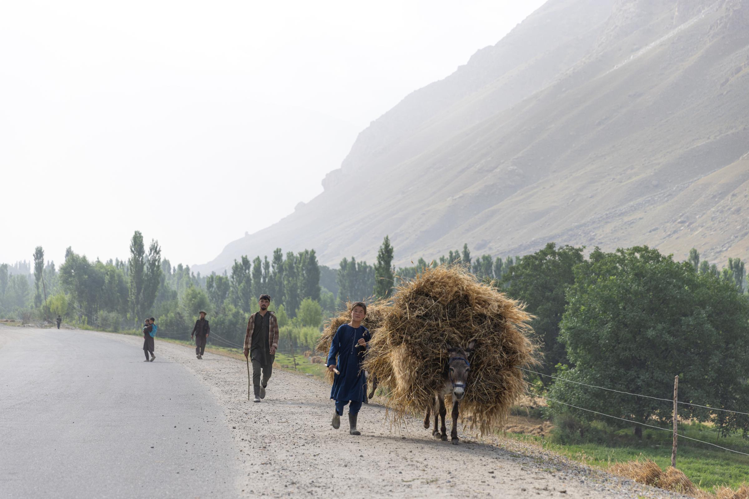 The Water Crisis and Its Consequences in Afghanistan   -   