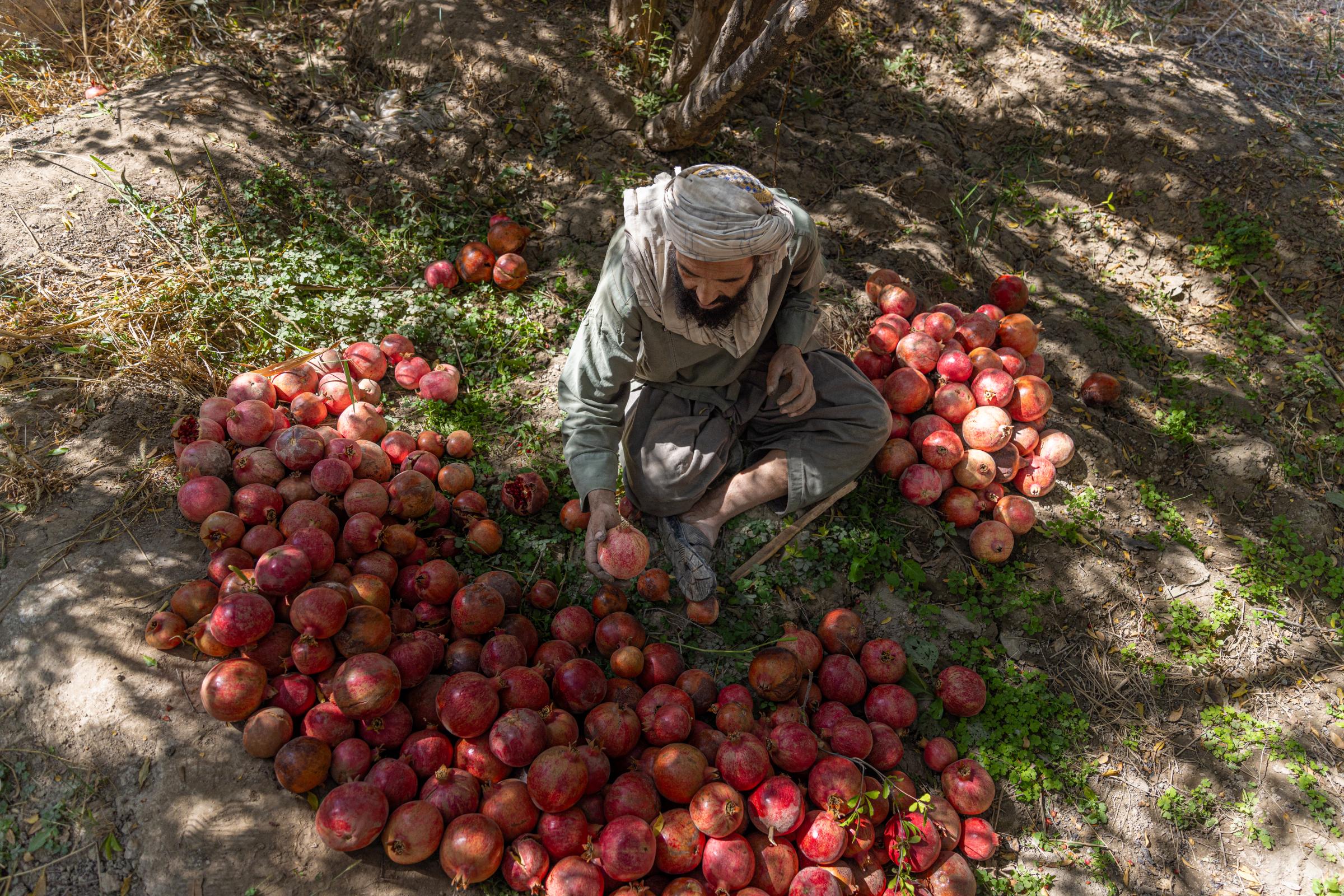 The Water Crisis and Its Consequences in Afghanistan   -   