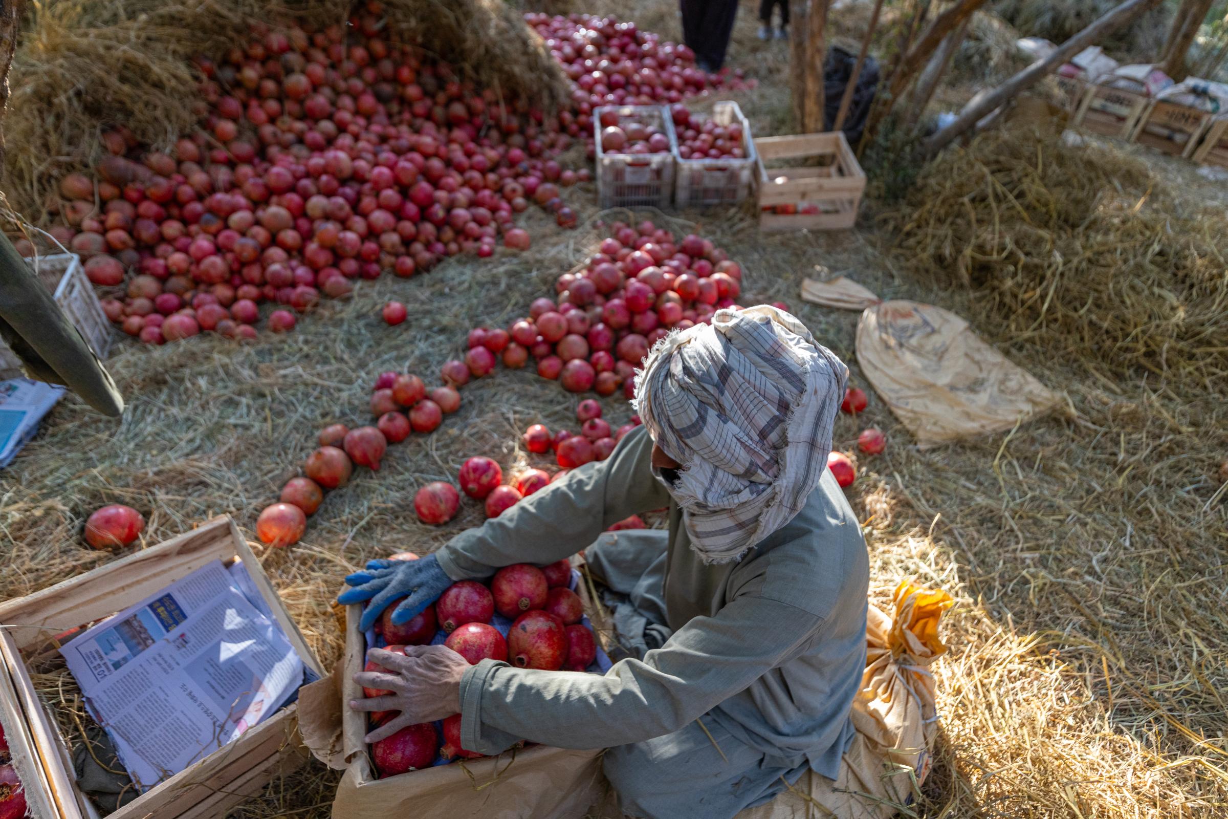 The Water Crisis and Its Consequences in Afghanistan   -   