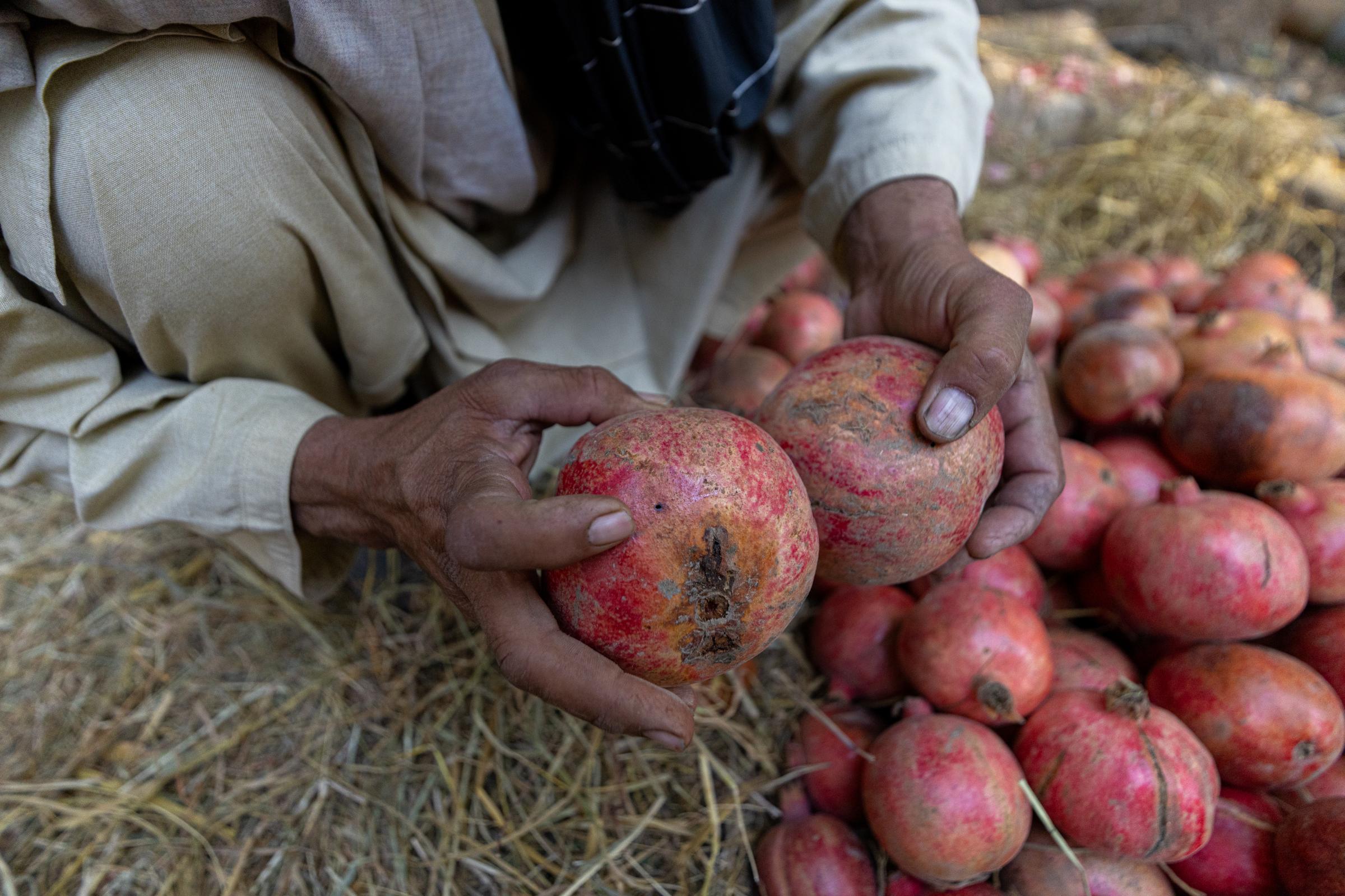 The Water Crisis and Its Consequences in Afghanistan   -   