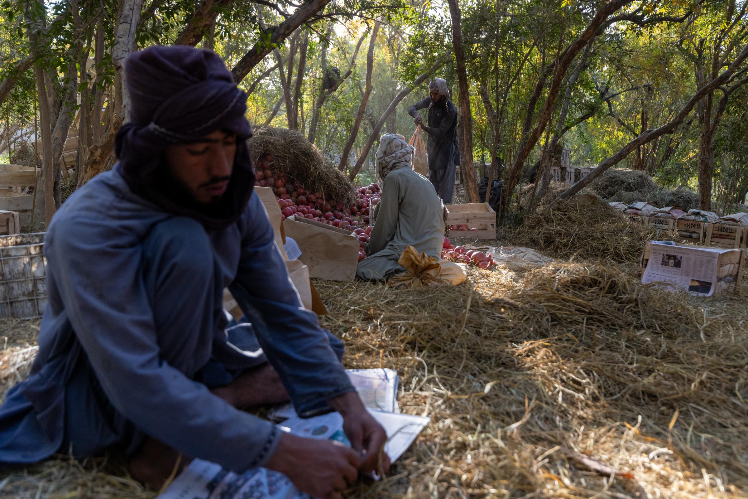 The Water Crisis and Its Consequences in Afghanistan   -   