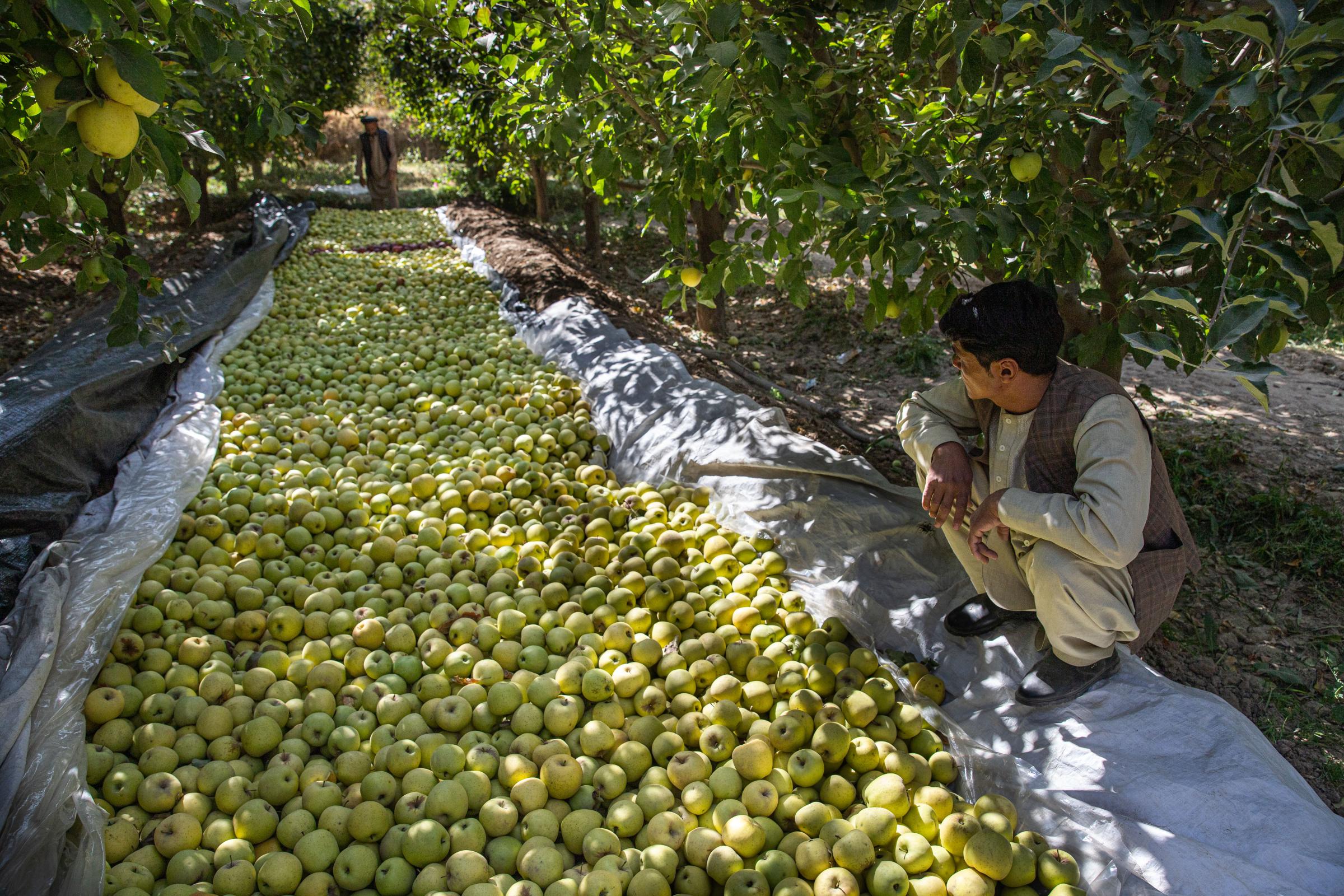 The Water Crisis and Its Consequences in Afghanistan   -   