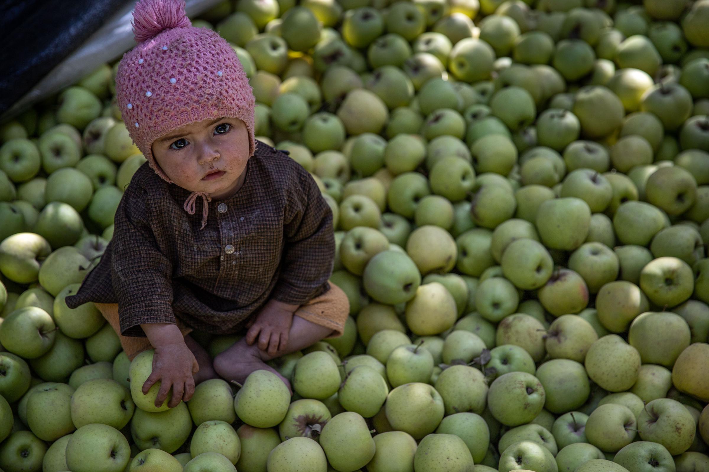 The Water Crisis and Its Consequences in Afghanistan   -   