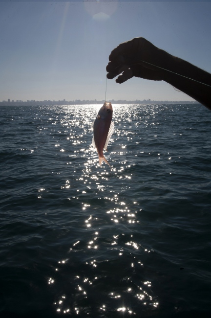  Meager findings off the coast of Gaza for fishermen Abou Yasser and his cousin Mohamad Miqdad. 
