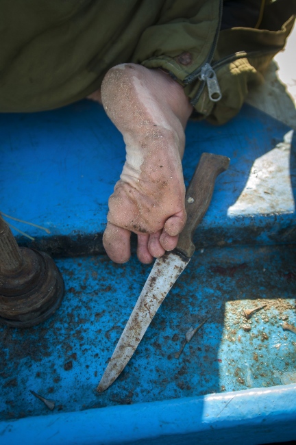 Image from Gaza Fishermen -                                                       No...