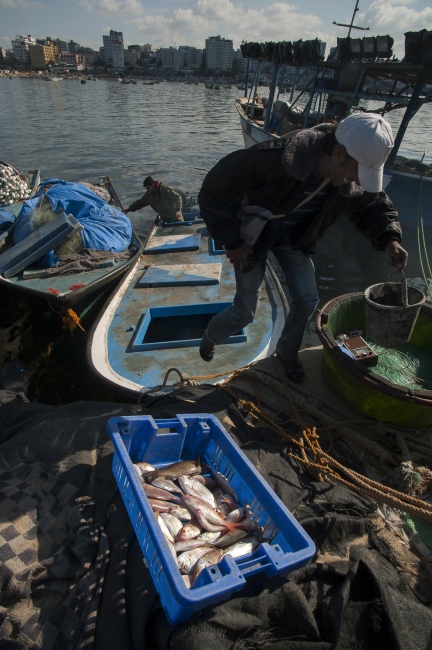 Gaza Fishermen -                                                       The...