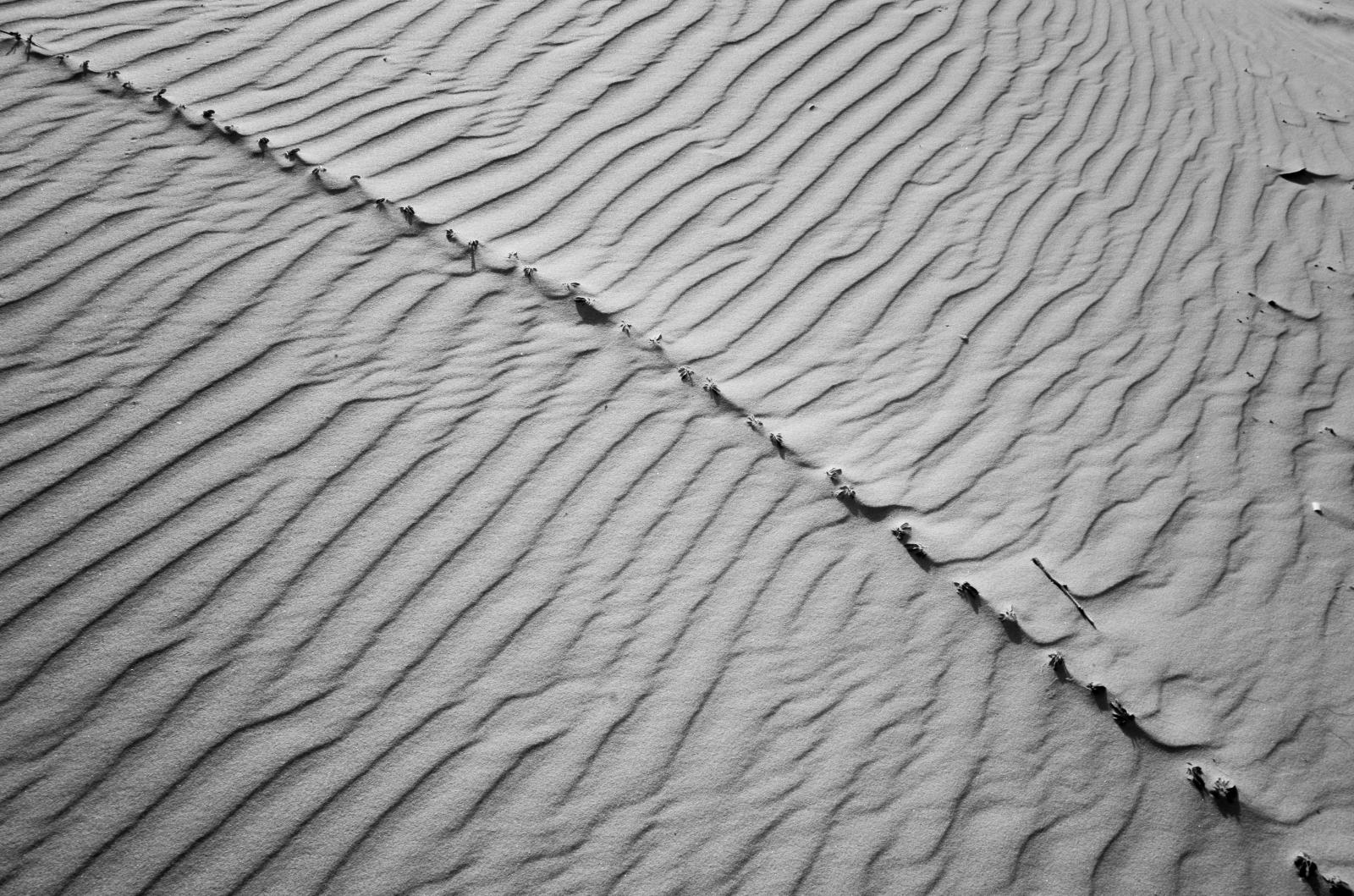 White Dune's textures.