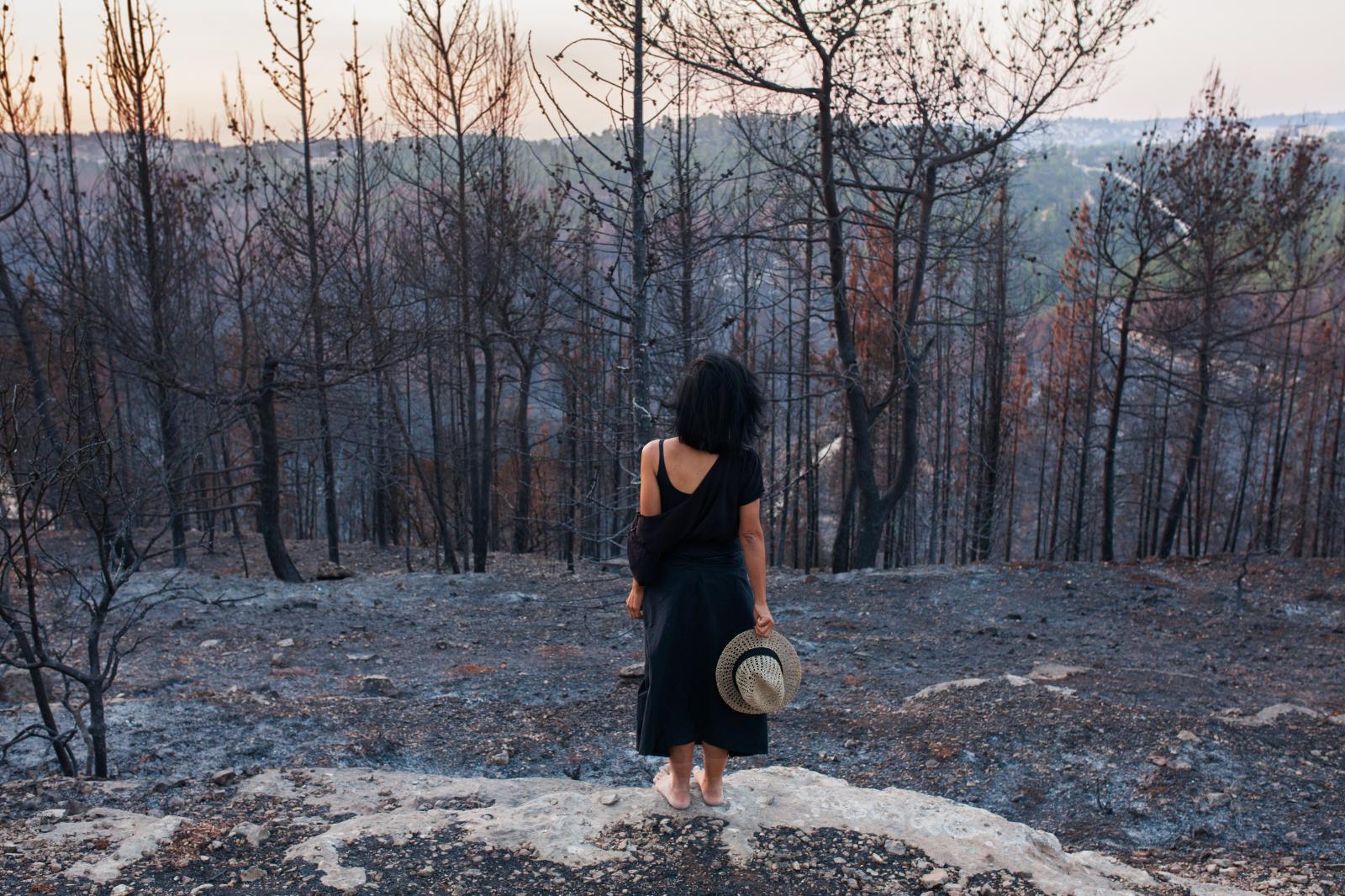 Burned Sataf forest